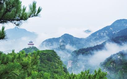 鲫鱼汤怎么弄才好喝呢